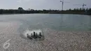 Ribuan ikan mati dan terapung di Danau Citra 6 Perumahan Citra Garden City, Kalideres, Jakarta, Sabtu (19/12). Ribuan ikan mati diduga akibat fenomena alam yaitu perubahan cuaca yang ektrim sehingga merusak ekosistem danau. (Liputan6.com/Gempur M Surya)