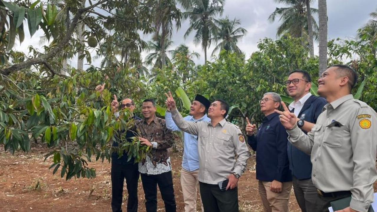 Fakta Anggaran Rp7 Triliun: PTPN I Perkuat Hilirisasi Kelapa dan Kopi Demi Ekonomi Nasional