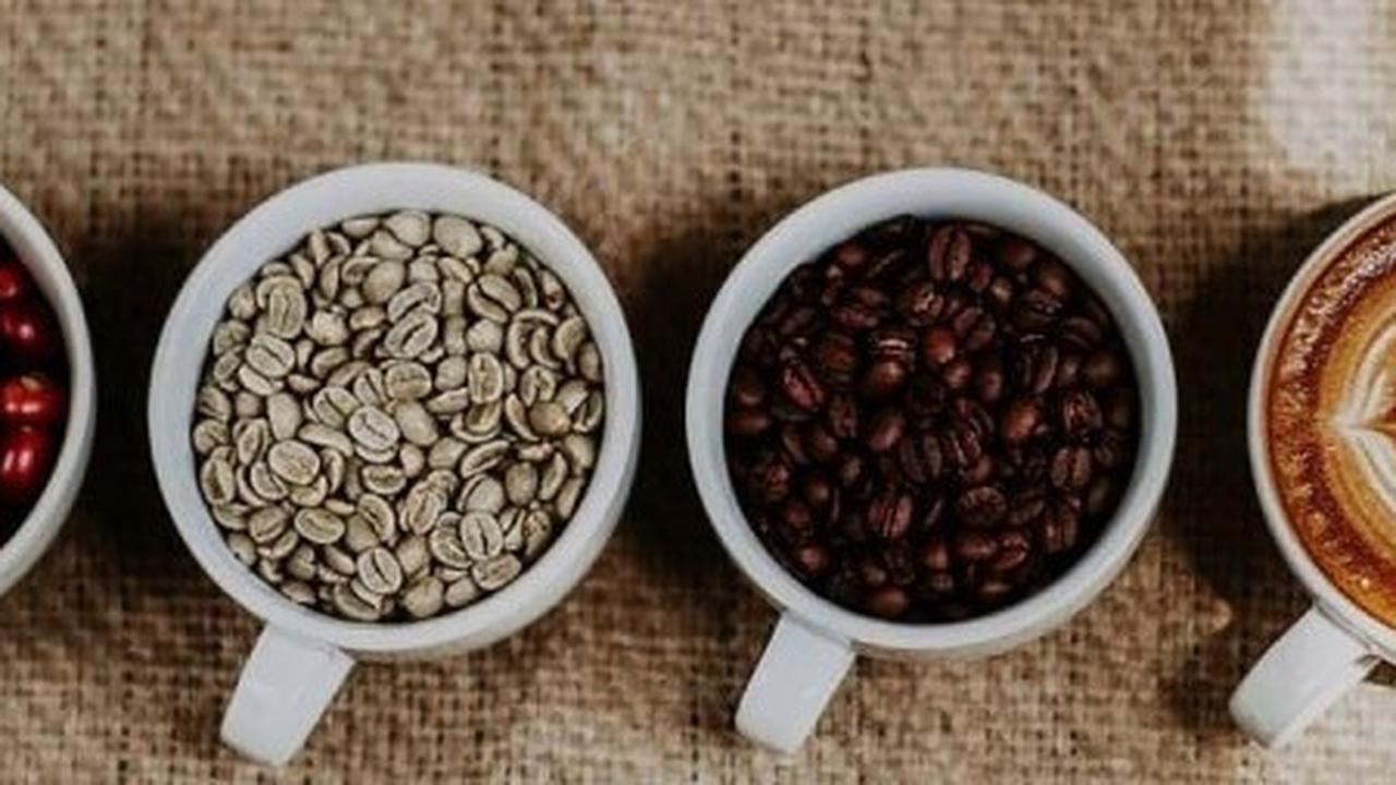 ilustrasi kopi