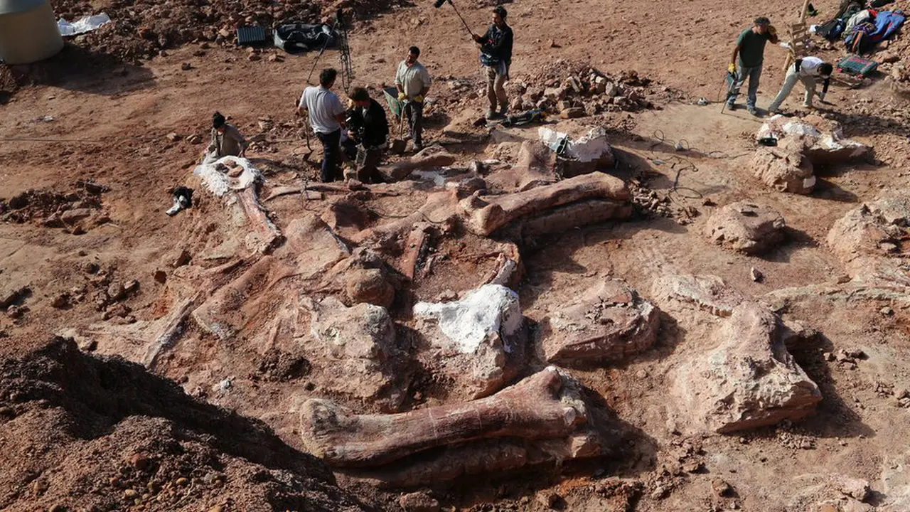 Dinosaurus Terbesar Sedunia Ditemukan