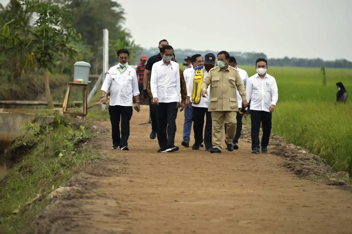 Mentan Sebut Program Food Estate di Kalteng untuk Ketahanan Pangan
