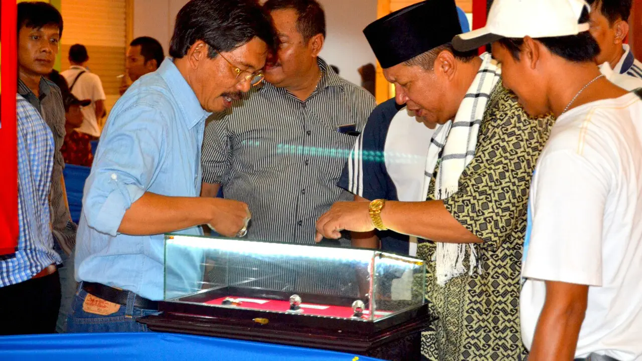  Komunitas Batu Mulia Bengkulu Gelar Kontes Batu Akik 