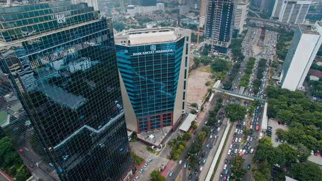 BRI Sebagai Holding BUMN Sektor UMi-UMKM
