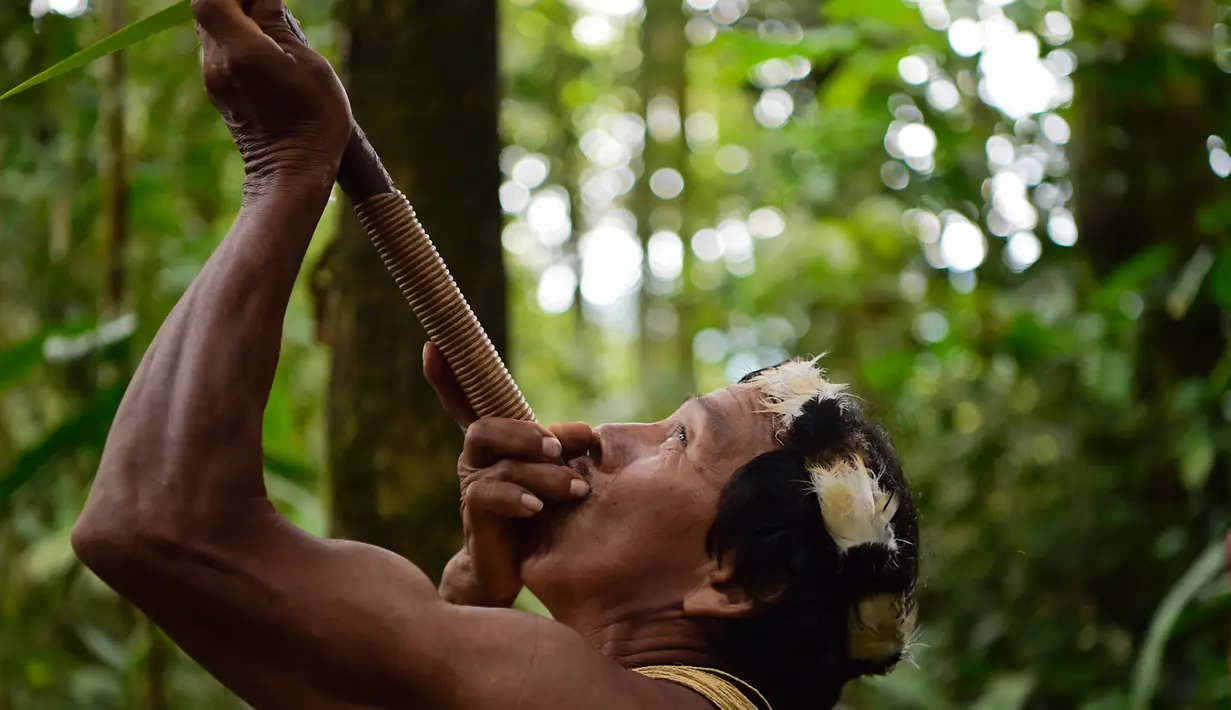Pribumi Waorani, Tiri Nenquimo menggunakan sumpit di dekat desa Nemompare, di tepi sungai Curaray, di provinsi Pastaza, Ekuador (14/4/2019). Suku Waorani dari Amazon Ekuador berdemo di depan pengadilan memprotes perusahaan minyak keluar dari wilayah mereka. (AFP Photo/Rodrigo Beundia)