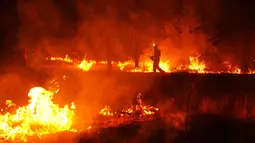 Petugas pemadam kebakaran menggunakan pembakaran terkontrol untuk menghentikan kebakaran hutan yang terus menyebar di dekat Cebreros, provinsi Ávila, Spanyol, Selasa, 28 Juli 2026. (AP Photo/Manu Fernandez)