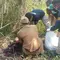 Misteri Kerangka Ibu 4 Anak di Sukabumi Terungkap