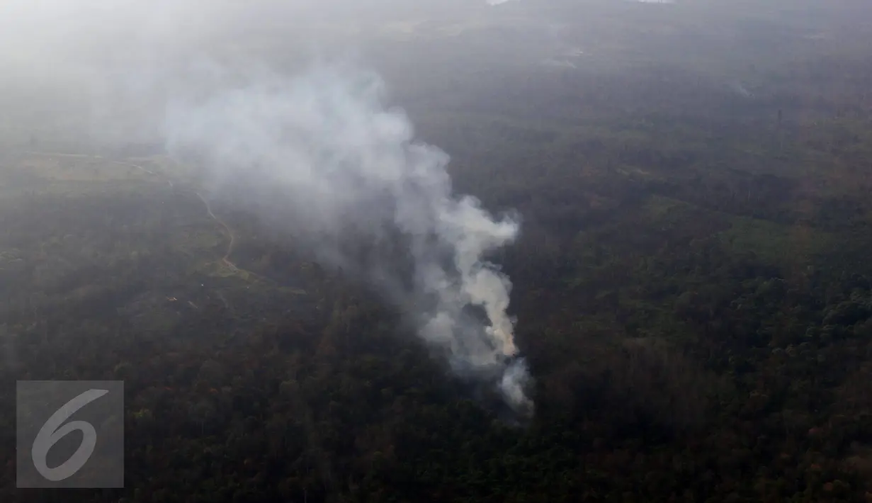 Asap mengepul dari sejumlah titik api yang membakar hutan di wilayah Kalimantan Timur, Selasa (27/10). Kabut asap yang menyelimuti Kalimantan mulai berkurang dikarenakan beberapa wilayah sumber asap telah turun hujan. (Liputan6.com/Immanuel Antonius)