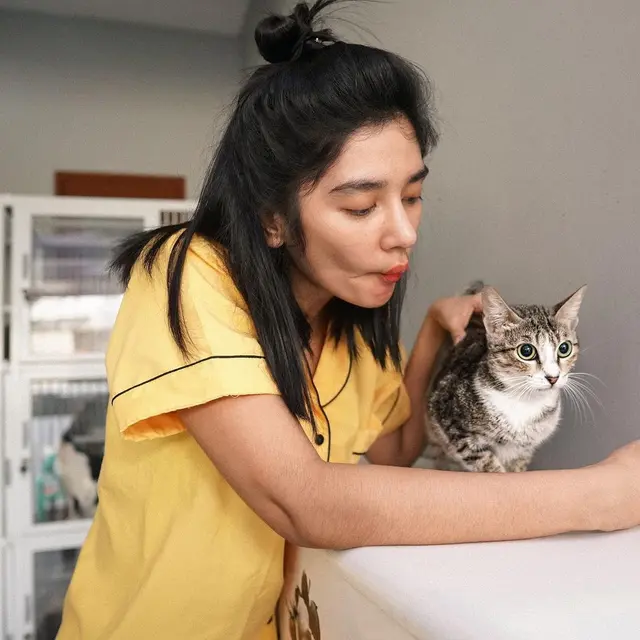 ilustrasi potret Fanny Ghassani, penyayang kucing yang sibuk bermain sinetron suara hati istri indosiar/@fannyghassani