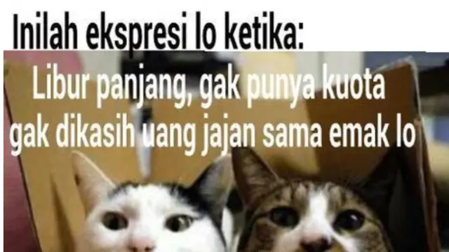 Bikin Senyum, 7 Meme Kocak Dampak Libur Panjang