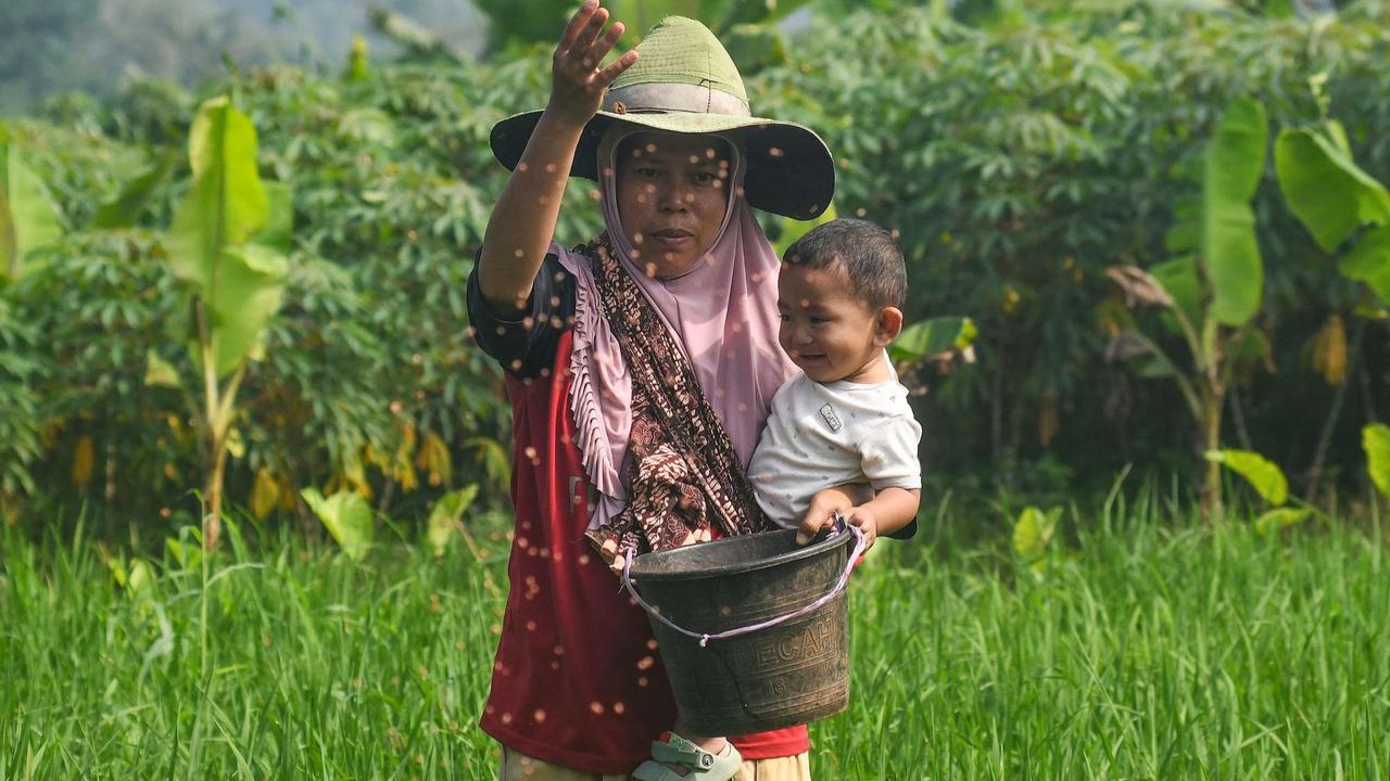 Distribusi Pupuk Subsidi ke Petani Mulai Lancar