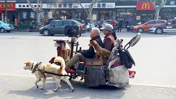 Photo: Copyright dailymail.co.uk