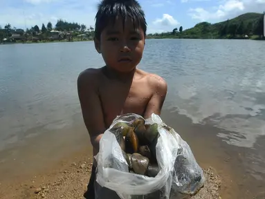 Seorang anak memperlihatkan kerang hasil pencarian di kawasan Situ Rawa Gede, Sirnajaya, Bogor, Jumat (6/1/2023). Mengisi waktu libur sekolah, mereka membantu orang tuanya dengan mengumpulkan kerang yang dijual sebesar Rp 5ribu per kg. (merdeka.com/ Arie Basuki)