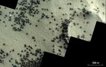 Ratusan Laba-Laba Hitam Serbu Kutub Selatan Planet Mars, Tapi Ilmuwan Ungkap Bukan Hewan