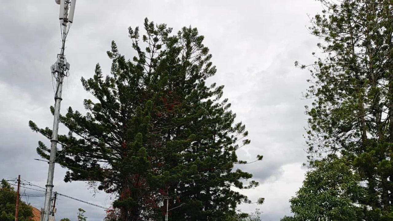Situasi Terkini Bentrok Suku di Wamena