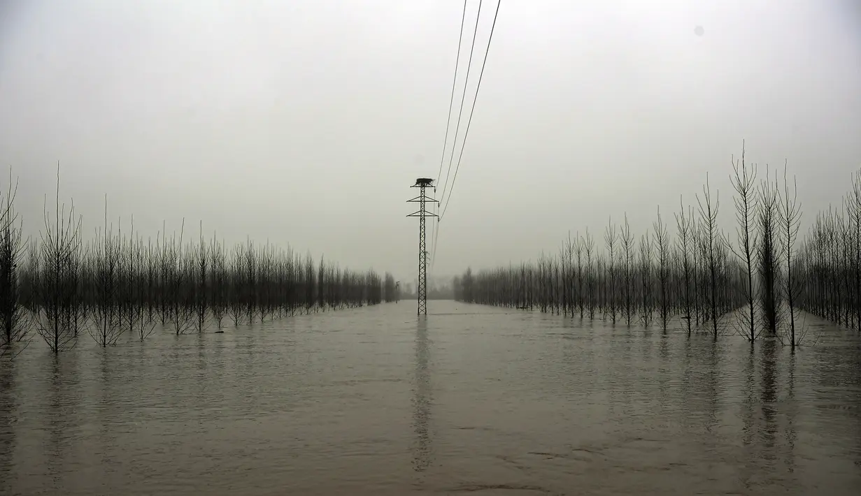 Kabut menutupi lanskap di daerah banjir dekat Sungai Ebro di desa kecil Alcala de Ebro, provinsi Aragon, Spanyol utara (13/12/2021). Hujan deras menyebabkan banjir di Spanyol utara. (AP Photo/Alvaro Barrientos)