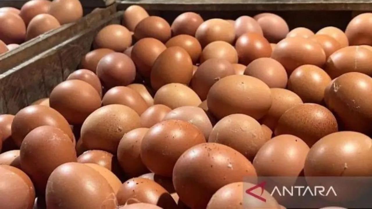 Update Harga Pangan Nasional: Cabai Rawit Merah dan Telur Ayam Stabil di Awal Tahun
