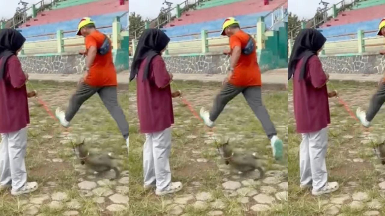 Viral Kucing Ditendang hingga Tewas, Pemilik Tolak Damai dan Minta Pelaku Diproses Hukum