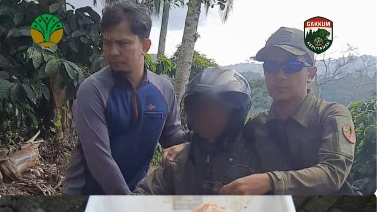Pelaku Perburuan Satwa Liar di Kawasan Konservasi TN Meru Betiri Diamankan Gakkum Kehutanan
