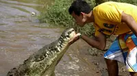 Pikat Wisatawan, Pria Ini Nekat Cium Buaya Liar