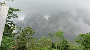 Gunung Semeru Meletus, Ribuan Jiwa di Lumajang Mengungsi