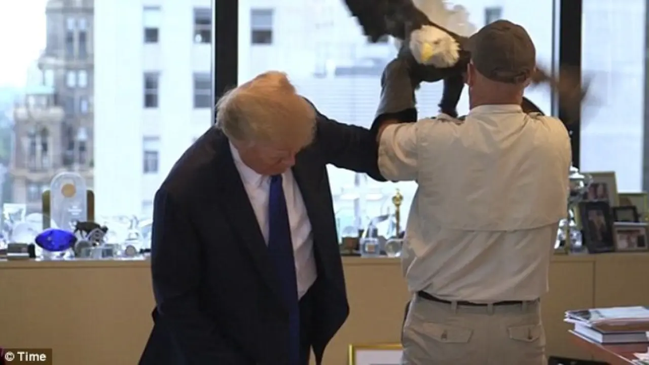 Bahkan 'Bald Eagle', Lambang Amerika Serang Donald Trump!