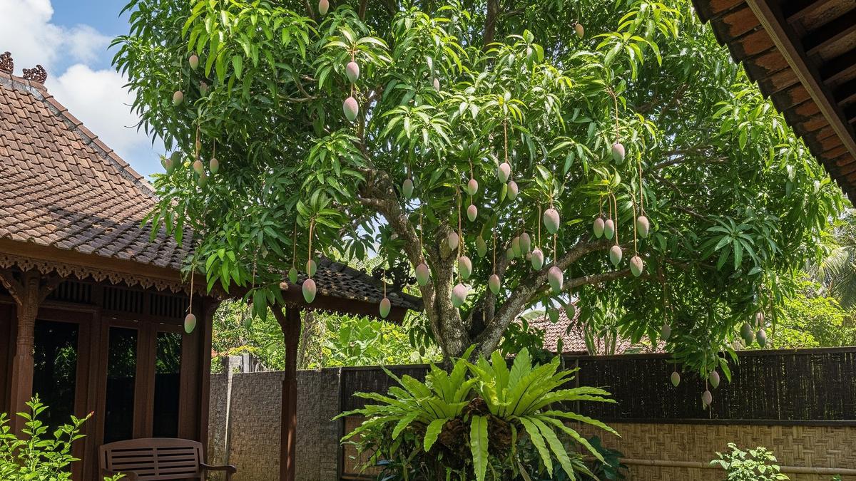 13 Pohon Buah untuk Ketahanan Pangan Keluarga, Solusi Pekarangan Produktif di Rumah