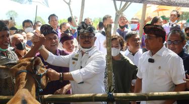 Tindak Lanjut Reforma Agraria, Mentan SYL Tinjau Pelaksanaan Inseminasi Buatan di Buleleng