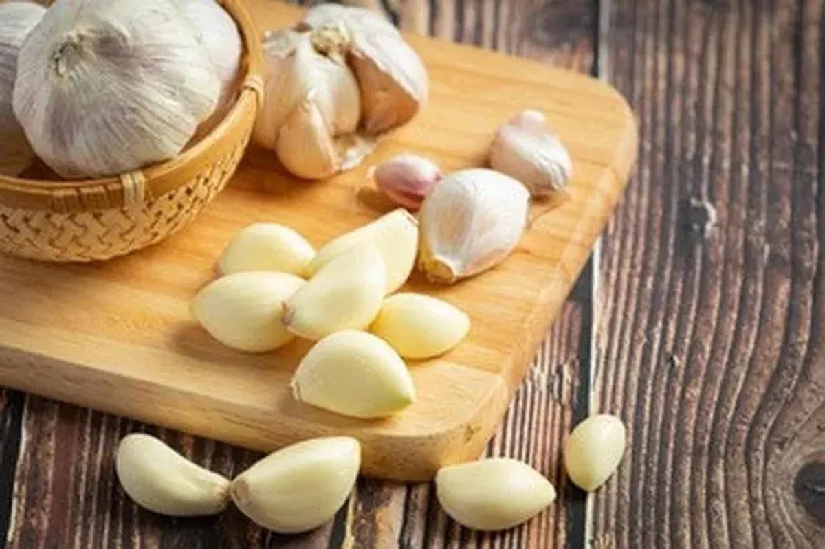 Khasiat Bawang Putih yang Tidak Banyak Orang Sadari, Begini Cara Mengonsumsinya