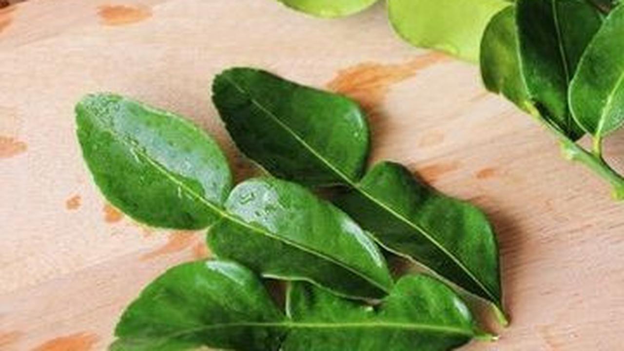 1. Daun Jeruk