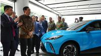 Luhut Sebut MG Bisa Kuasai Pasar Kendaraan Listrik di Indonesia, Punya Modal Apa? (Ist)