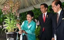 Ini anggrek bernama Iriana Jokowi di Singapura