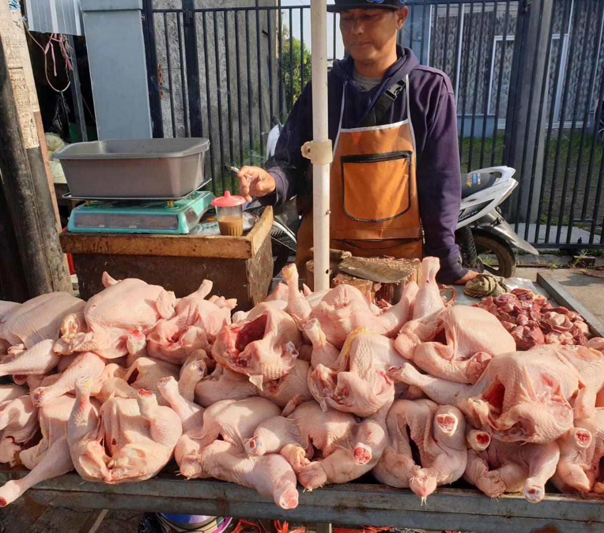 Dibandingkan dengan harga kebutuhan pokok yang alami kenaikan harga, harga ayam tidak mengalami peningkatan.<br>