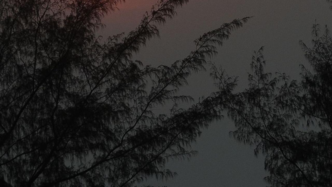Selain itu momen matahari terbenam (sunset) di pantai ini juga menarik perhatian banyak wisatawan karena keindahannya.