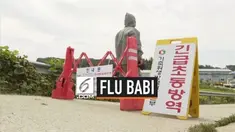 Pemerintah Korea Selatan mengkonfirmasi temuan virus Babi Afrika di negaranya. Akibatnya permerintah Korsel bakal membunuh ribuan babi di pekarangan yang terjangkit virus mematikan itu.
