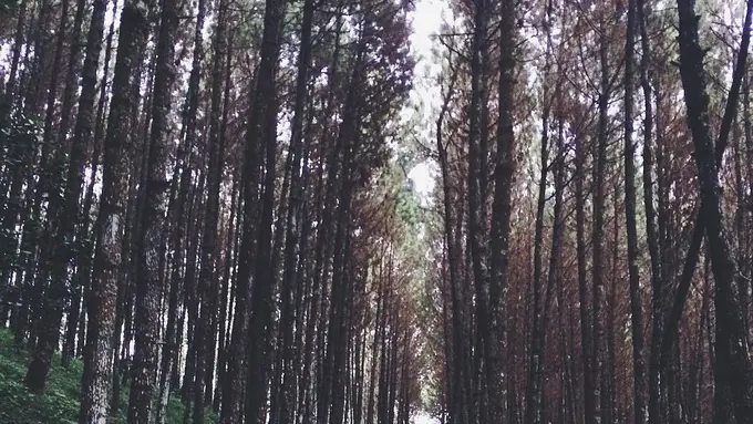 [Bintang] Jawa Barat