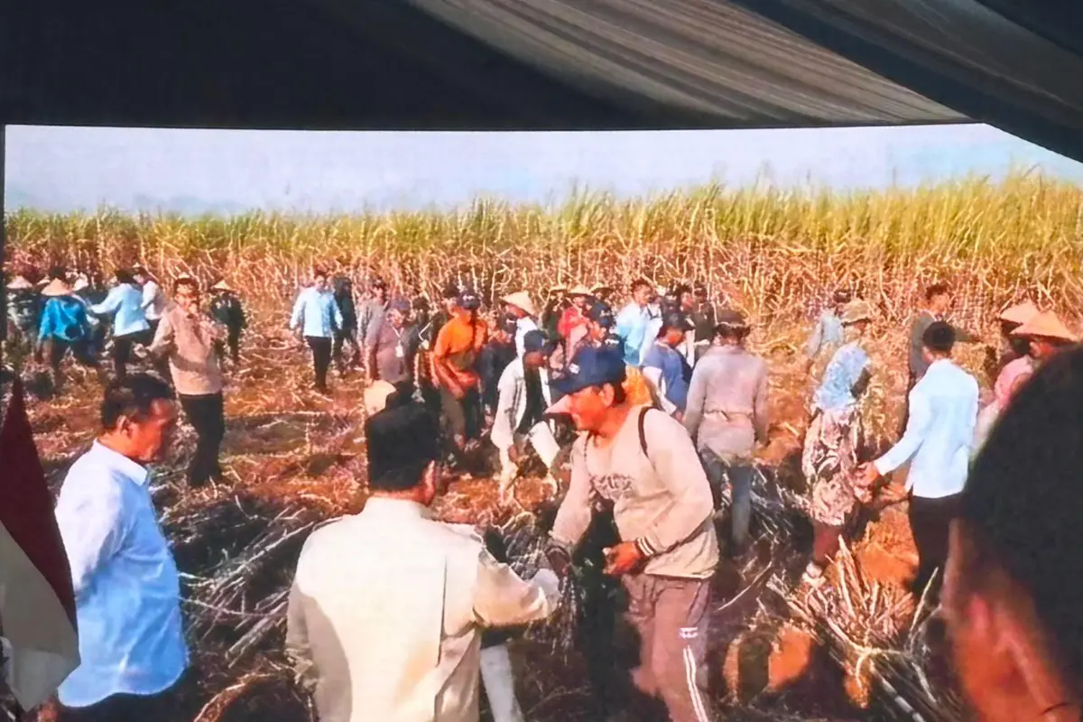 Presiden Prabowo menyapa dan berbincang dengan para petani tebu sebelum memimpin Panen Raya TNI di Lanud Abdulrachman Saleh, Kabupaten Malang, Jawa Timur. (Liputan6/Lizsa Egeham)