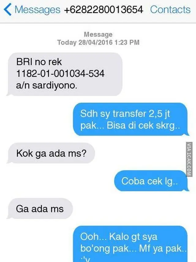 balasan sms penipuan