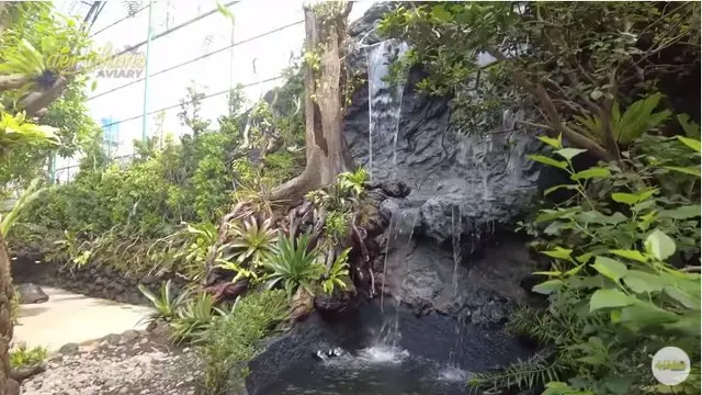 Bak Kebun Binatang, Ini 7 Potret Kandang Burung Milik Irfan Hakim