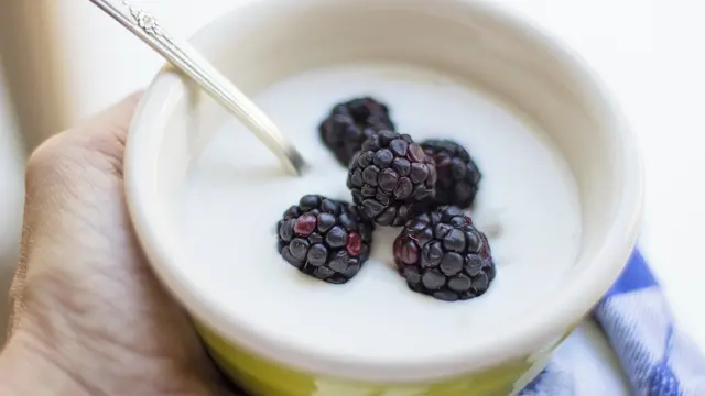 ilustrasi yogurt untuk menyembuhkan migrain/pixabay