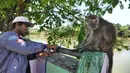 Monyet dibiarkan terikat di sebuah pagar setelah dimandikan di Sungai Ciliwung, kawasan Bendungan Katulampa, Bogor, Kamis (29/3). Monyet asal Tanjung Priok, Jakarta ini dijadikan untuk pertunjukan sirkus tradisional. (Merdeka.com/Arie Basuki)