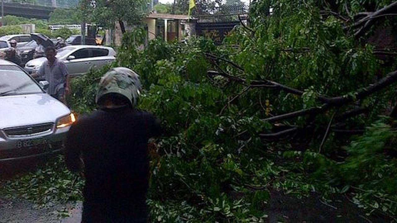 Sebelum pohon di depan ITB tumbang, datang hujan dan angin kencang