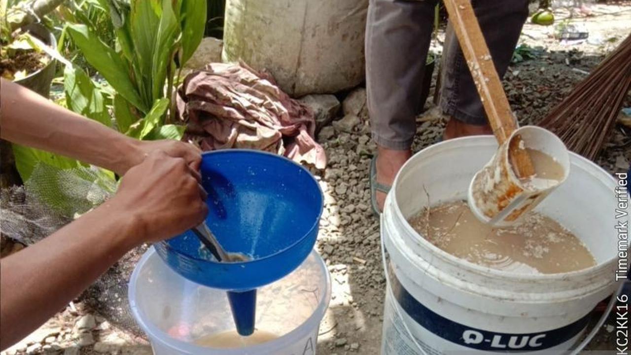 Dari Lembah Tengkorak Menuju Hijau: Petani Muda Solok Gagas Pertanian Ramah Lingkungan, Ini Upayanya!