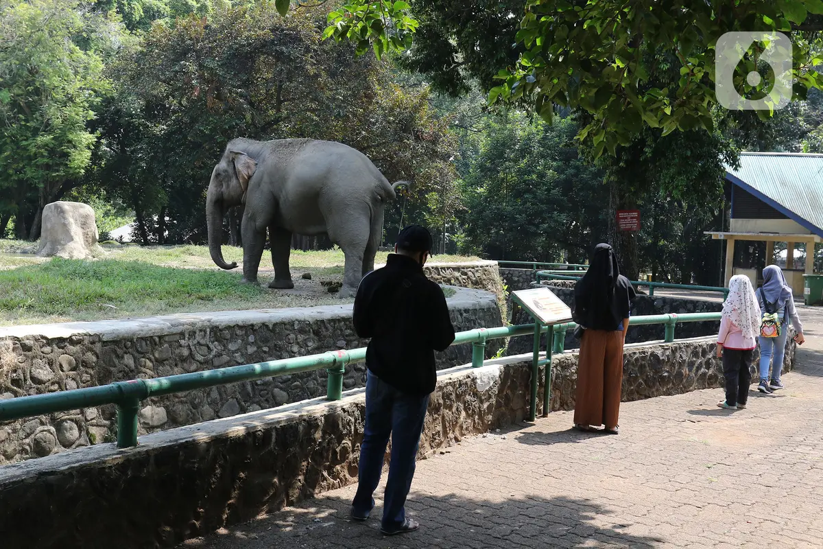 Ragunan Sepi Pengunjung di Libur Idul Adha