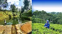 Aksesibilitas dan Amenitas Jadi PR Besar Pariwisata Kabupaten Batang