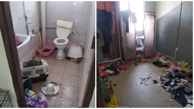 Pemilik Ini Syok Lihat Rumahnya Berantakan Usai Disewa, Ada Bangkai Kucing