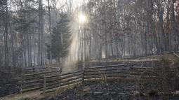 Sebagian besar struktur dan pagar di Pilot Mountain State Park tetap berdiri setelah kebakaran hutan menyebabkan kerusakan lebih dari 1.000 hektar di Pinnacle, North Carolina, AS (30/11/2021). (Allison Lee Isley/The Winston-Salem Journal via AP)
