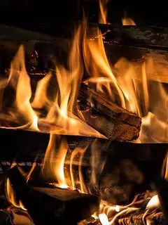 Ilustrasi api (Gambar oleh Larry White dari Pixabay)