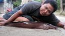 liputan6