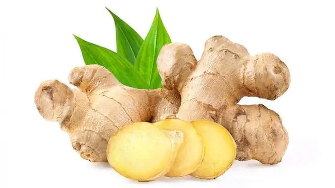 Cara Ampuh Menghilangkan Bau Amis dan Sisa Darah pada Daging Sapi