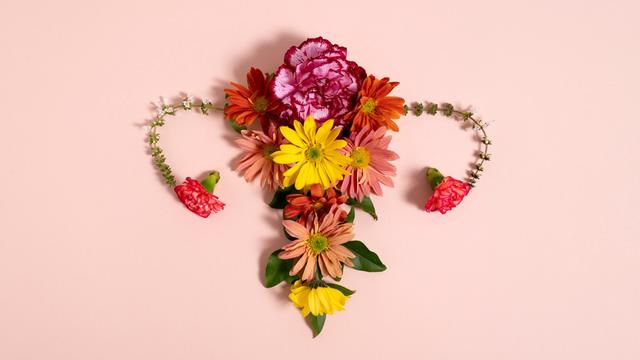 Ilustrasi rahim sehat